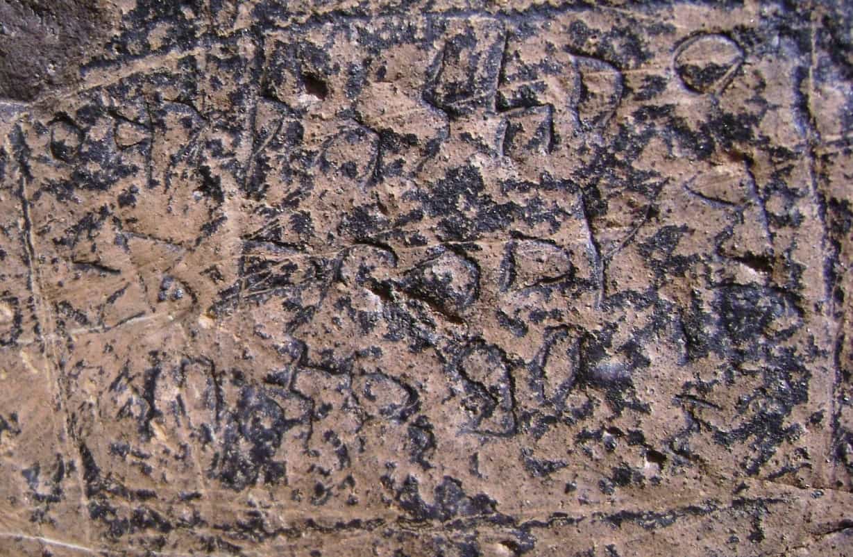 الشرعي ضركام4